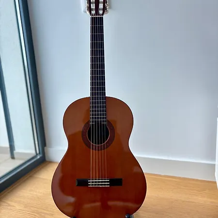 Dream - Everything Deserve! Funchal (Madeira)