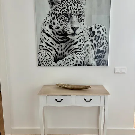 Dream - Everything Deserve! * Funchal (Madeira)